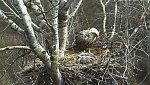 http://images38.fotosik.pl/116/b00c1620ce920d9em.jpg
