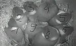 http://images38.fotosik.pl/126/b762259958ed231bm.jpg