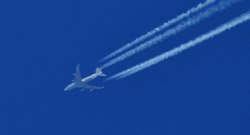 darmowy hosting obrazków