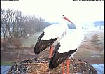 http://images38.fotosik.pl/272/caad7983f89e5ad7m.jpg