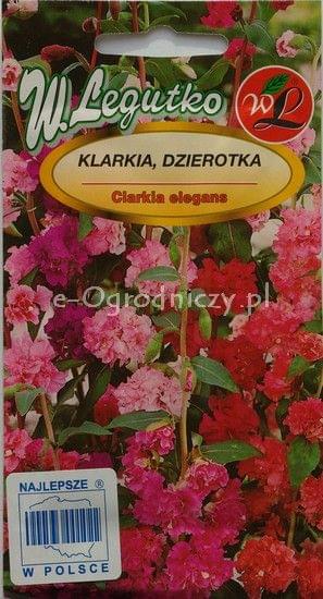 Obrazek