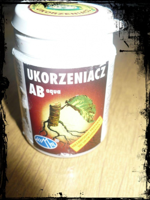 Obrazek