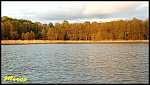 images38.fotosik.pl/856/5e0358381f17cfacm.jpg