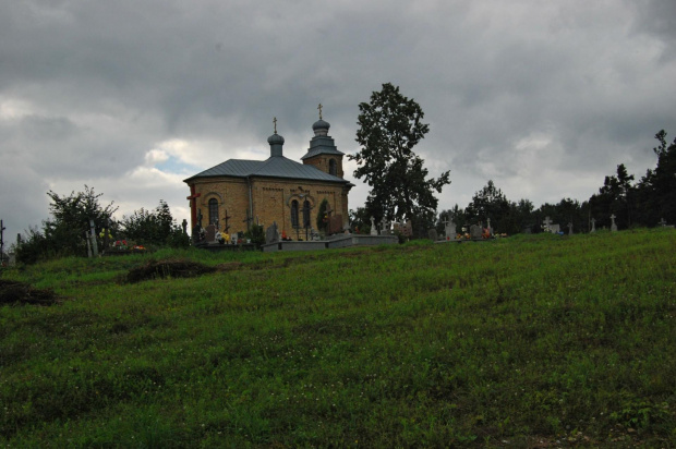 białowieża 2011