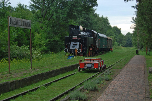 białowieża 2011