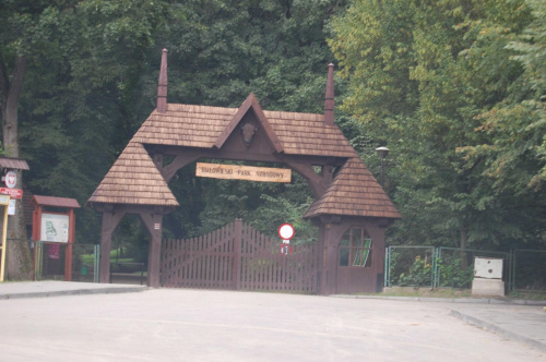 białowieża 2011