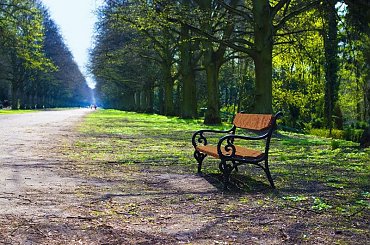 wiosna #jesień #kaczka #lato #moda #morze #portret #wakacje #wiosna #zima