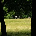 Park Berlin