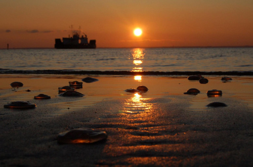 Landskrona: zachód słońca z perspektywy meduz