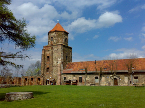 Zamek w Toszku