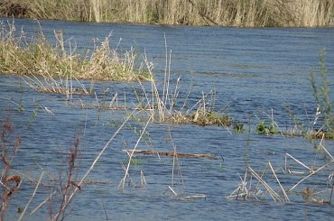 PZK zdjęcia wiosenne #krajobraz #mazowsze #warka #pilica