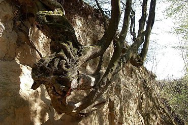 zrobiłam chyba tysiąc zdjęć-szkoda ,że nie można wszystkich umieścić na fotosiku-choć zdjęcia to tylko mały obraz tego co widziałam=polecam wycieczkę #KazimierzDolny