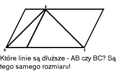 złudzenia