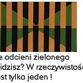 złudzenia