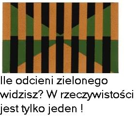 złudzenia