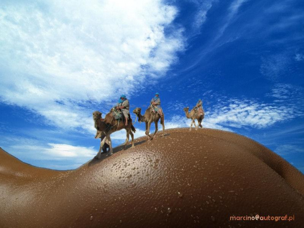 fatamorgana #pustynia #karawana #kobieta #podróż