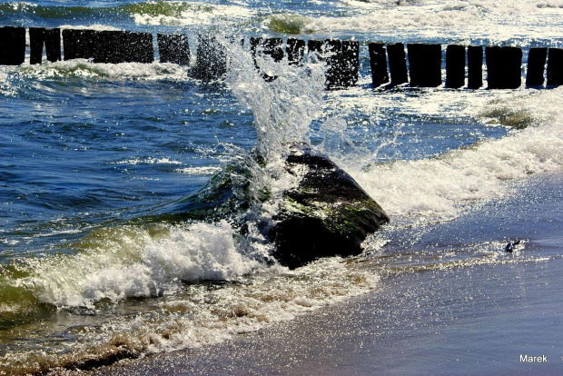 Gdynia-dzika plaża.