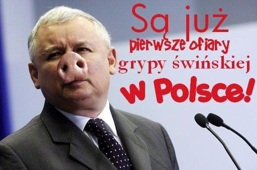 #Kaczyński #Jarosław #Lech #PiS #Kaczyńscy #grypa #świńska #ofiara #ŚwińskiRyj #pandemia
