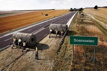 #sosnowiec #asfalt #zwijanie