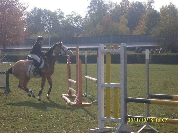 Skoki na Cudzie Natury Opole Ostroga 2011