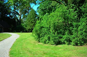 Arboretum Wirty #Pejzaż