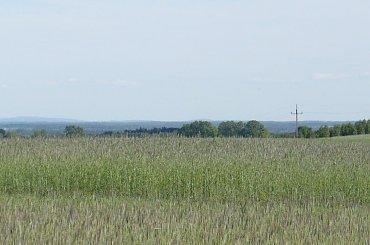 Pasmo Oblęgorskie z Góry Sławno k.Opoczna #Barania #Siniewska #Oblęgorskie #Perzowa #GóraSławno