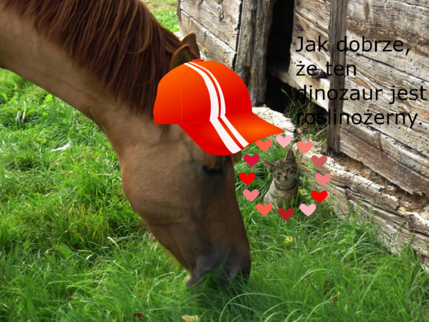 Ulga połączona z ciekawością