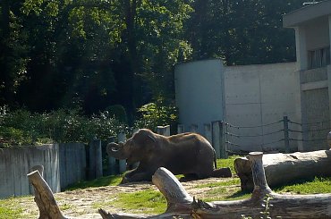 #Ostrawa #Ostrava #Ostrau #Zoo