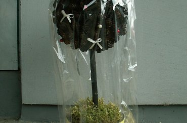 Drzewko Bożonarodzeniowe #DrzewkoBożonarodzeniowe #gwiazdka #wigilia #stroik