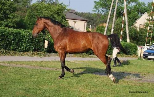 2009.05.21 Trening w Stodołach