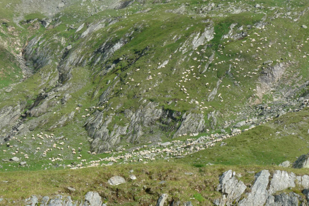 Rumunia, Trasa Transfogarska