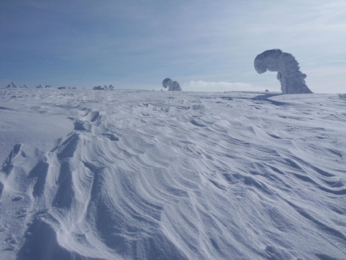 W Szklarskiej Porębie Śniegolepy,lepili figury ze śniegu,natura postanowiła się włączyć do konkursu i moim zdaniem wygrała ;)) #góry #Karkonosze #szadż #Szrenica #zima
