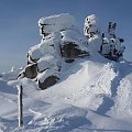 Trzy Świnki w drodze na Śnieżne Kotły.Lekko zmarznięte Trzy Świnki :) #góry #Karkonosze #szadż #Szrenica #zima