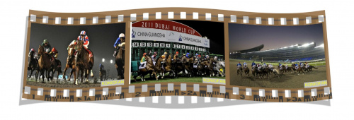 Tor wyścigowy Meydan #wyścigi #tor #konie #Meydan #Dubai #horse #horses
