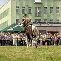 IX Piknik Kawaleryjski w Suwałkach #kawaleria #PiknikKawaleryjski #Suwałki #konie