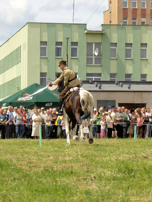 IX Piknik Kawaleryjski w Suwałkach #kawaleria #PiknikKawaleryjski #Suwałki #konie