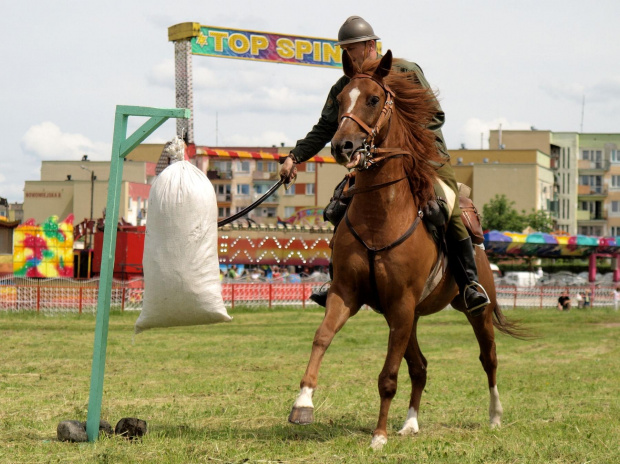 IX Piknik Kawaleryjski w Suwałkach #kawaleria #PiknikKawaleryjski #Suwałki #konie