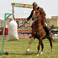 IX Piknik Kawaleryjski w Suwałkach #kawaleria #PiknikKawaleryjski #Suwałki #konie