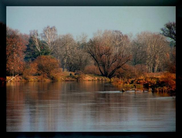 jesień nad Wartą