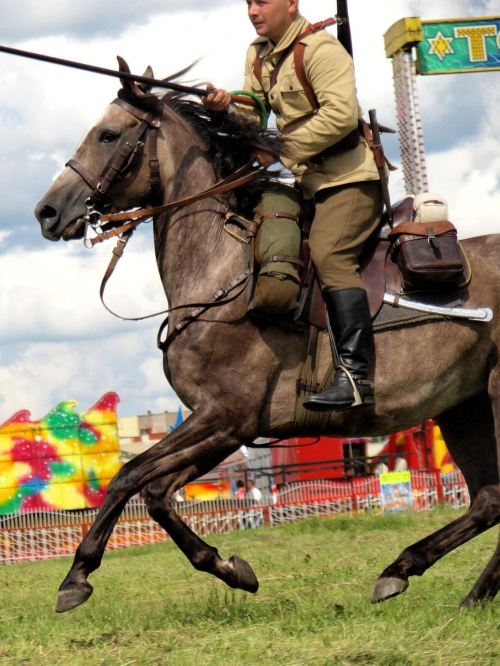 IX Piknik Kawaleryjski w Suwałkach #PiknikKawaleryjski #Suwałki #konie #ułani #kawaleria #lanca