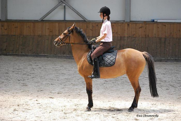 2009.07.04 Egzamin na odznak i- Stodoły trening