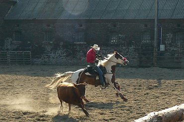 #rodeo #zawody #sport #człowiek #Zabrze #panasonic #KonieWest