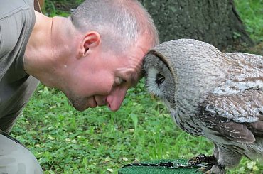 Pokaz drapoli ZAP-a w Łazienkach w dniu 20 maja 2012 r.