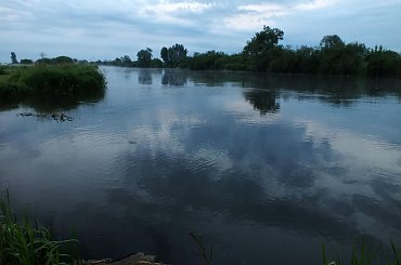 wędkowanie warta włyń #edmund