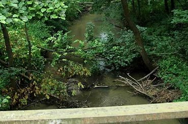 #siemiatycze #bug #PrzełomBugu #rzeka #drohiczyn #korczew #olendry #podlasie #bużyska