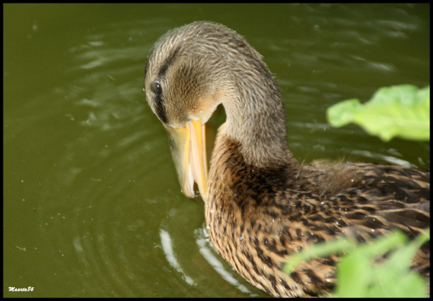 W poznańskim zoo