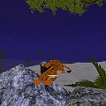 Moje screeny w Feral Heart