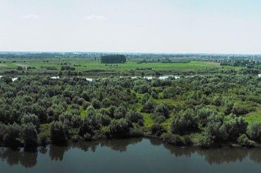 panorama z 'gór pieprzowych'. po prawej w oddali sandomierz. #panorama #sandomierz #GóryPieprzowe