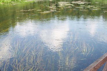 Urlop Pokośno 2012 #urlop