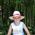 #przyroda #drzewo #bambus #dzungla #dzieci #wakacje